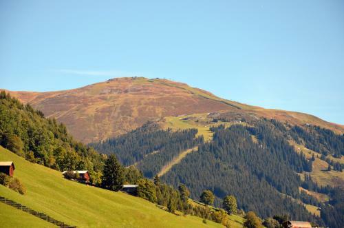 Apartamento Haus Sonnleiten