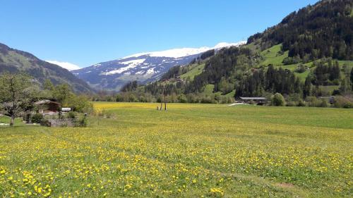 Hostal G�stehaus Pfister Maria