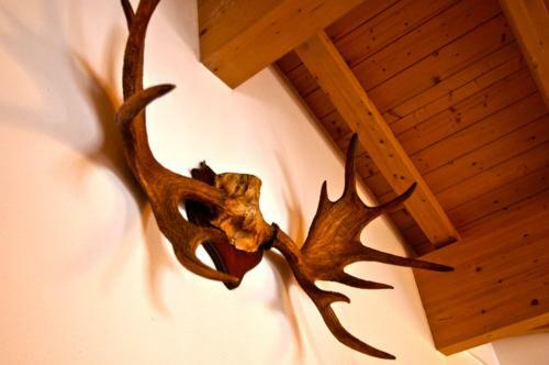 All Seasons Lodge By All In One Apartments