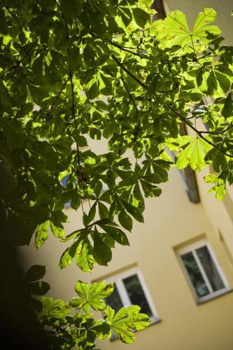 Apartment Goldener Kranich