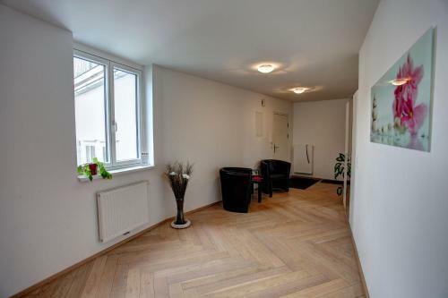 Gasser Apartments - Apartments Karlskirche