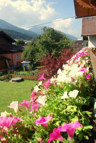 Apartamento Fewo Wassertheurer