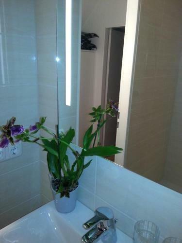 Apartamentos Ferienwohnung-2-im-haus-wildfang