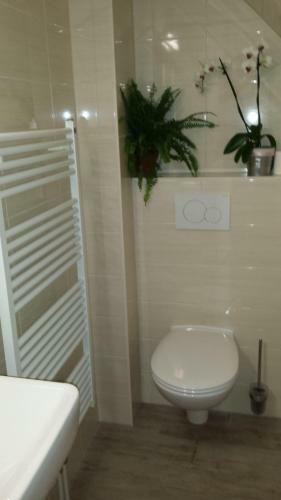 Apartamentos Ferienwohnung-2-im-haus-wildfang