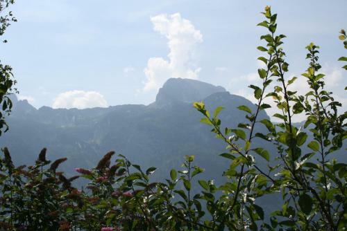 Apartamento Haus Bergheimat