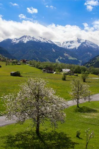 Apartamento Landhaus Salzmann