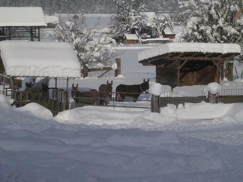 Hostal Hotel Beim Winkler