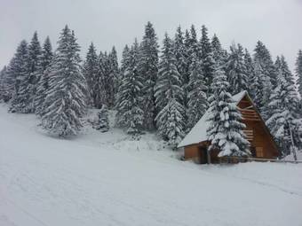 Chalet The Best View