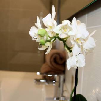 Bed & Breakfast La Belle Montoise