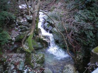 Hostal Nikolaou House