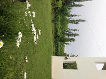 Eressos Ilios Apartments