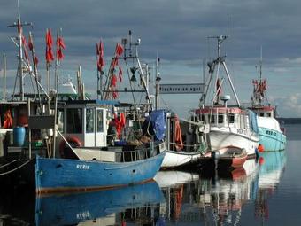 Apartamento Sommerloft Rerik