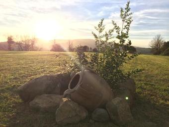 Agroturismo Agriturismo Fonte Di Braca
