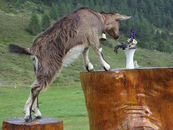 Naturhotel Sonnenhof