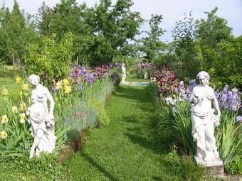 Bed & Breakfast La Luna E I Fal�