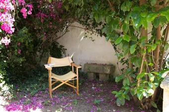 Ver fotos