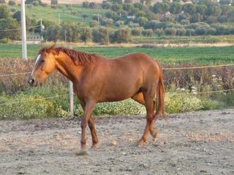Agroturismo Il Contadino E Il Mare