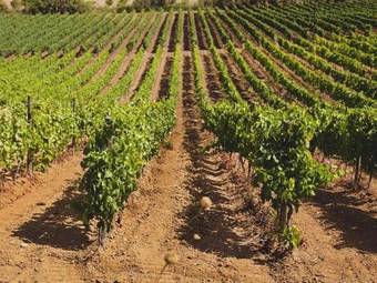 Hotel Baglio Caruana Cantina & Relais