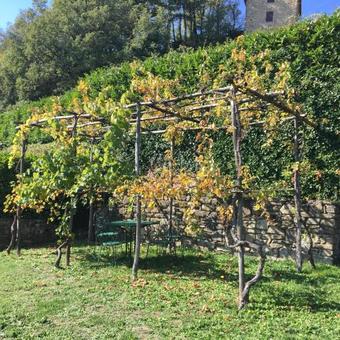 Apartamento Villa Vezza