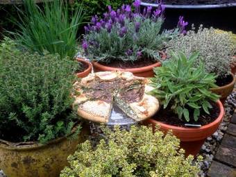 Bed & Breakfast Tussen De Tuinen