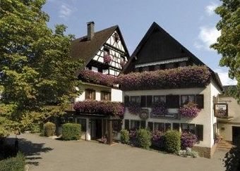 Pension Hotel-landgasthof Rebstock