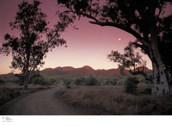 Hotel Wilpena Pound Resort