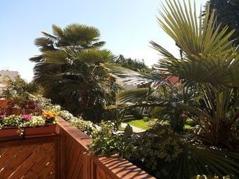 Albergue Santa Marija