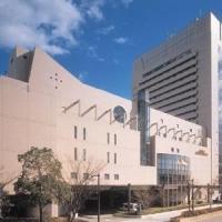 Hotel Kobe Seishin Oriental