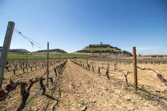 Casa Bodegas Marcos