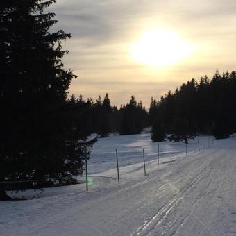 Apartment Route De La Croisette