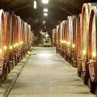 Best Western Wein- Und Parkhotel