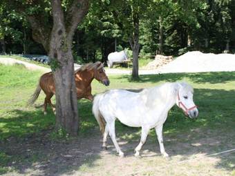 Agroturismo G�stehaus Herbstbauernhof
