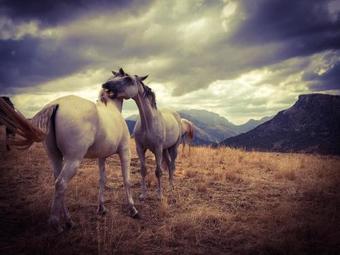 Agroturismo La Donaira