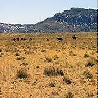 Hotel Shilo Inn Casper