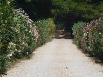 Agroturismo Masseria Incantalupi