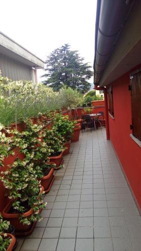 B&B Samy