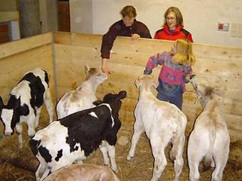 Agroturismo Kastnerhof