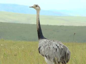 Bed & Breakfast Canastra Season