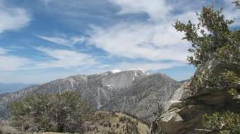 Doubletree Hotel Claremont