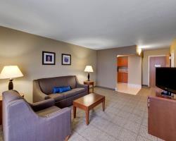 Hotel Holiday Inn Express Plano East