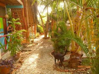 Tagualodge Hostel Manglaralto