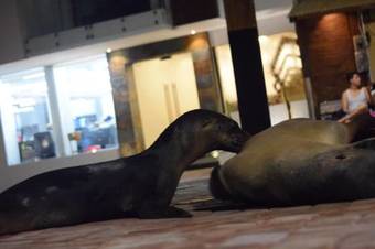 Galapagos Sunset Hotel