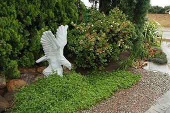 Bed & Breakfast Araluen Cottage - Self Catering