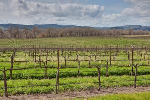 Hotel Hampton Inn & Suites