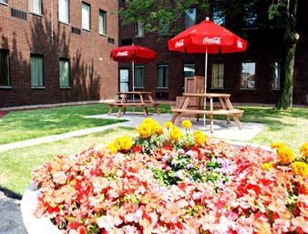 Hotel Days Inn - Windsor