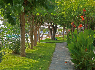 Apartamentos Pythos Studios