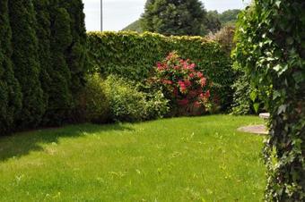 Hostal G�stehaus Wachau