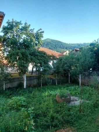 Apartamento House In The Heart Of The City