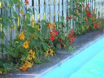 Pension G�stehaus Elisabeth