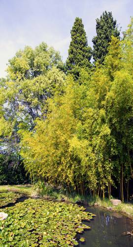 Bed & Breakfast Maison D'h�tes Lou Geneste